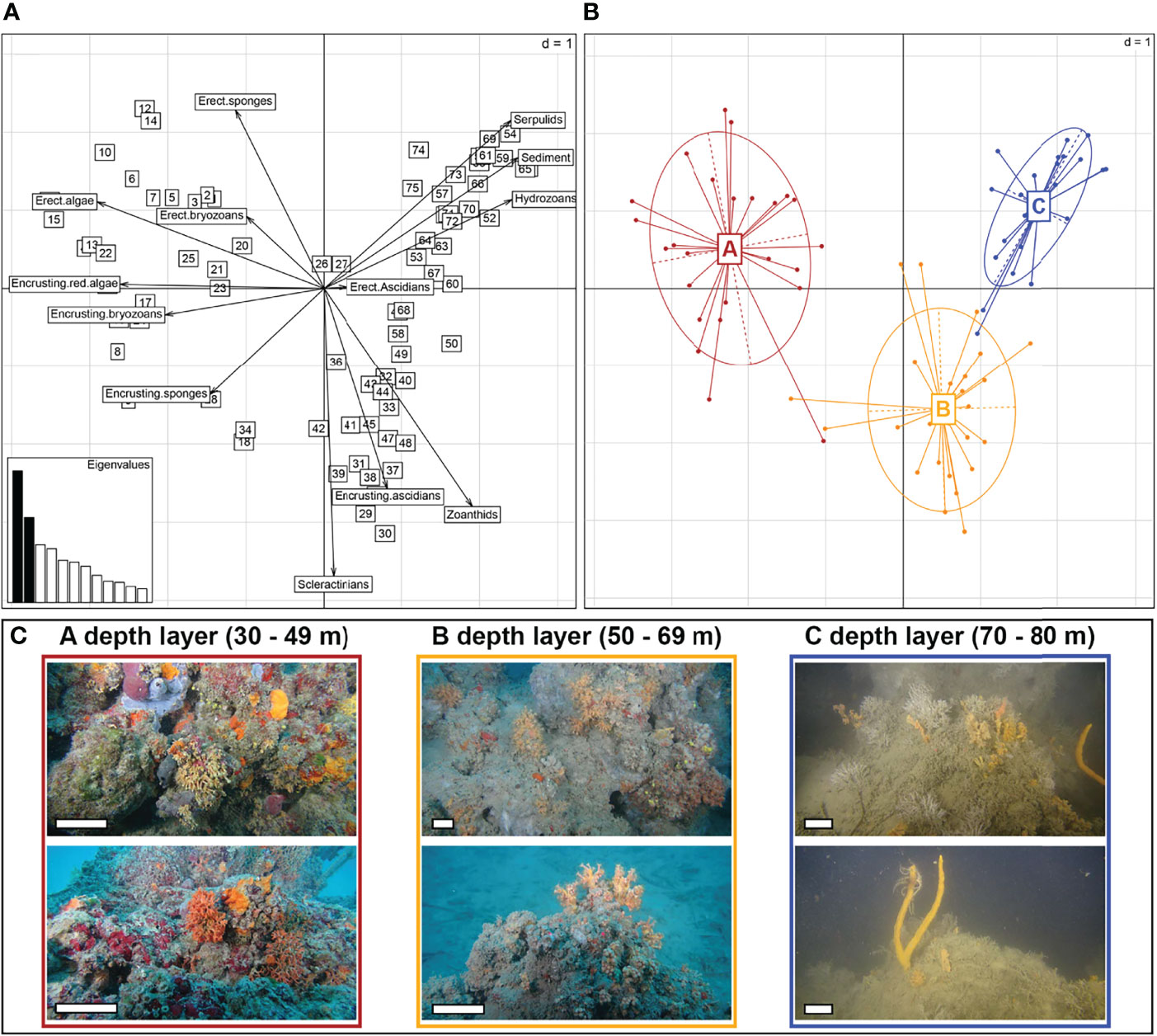 Frontiers When Scientists and Industry Technologies Mitigate Habitat Loss: The First Bioconstruction Relocation in the Mediterranean Sea