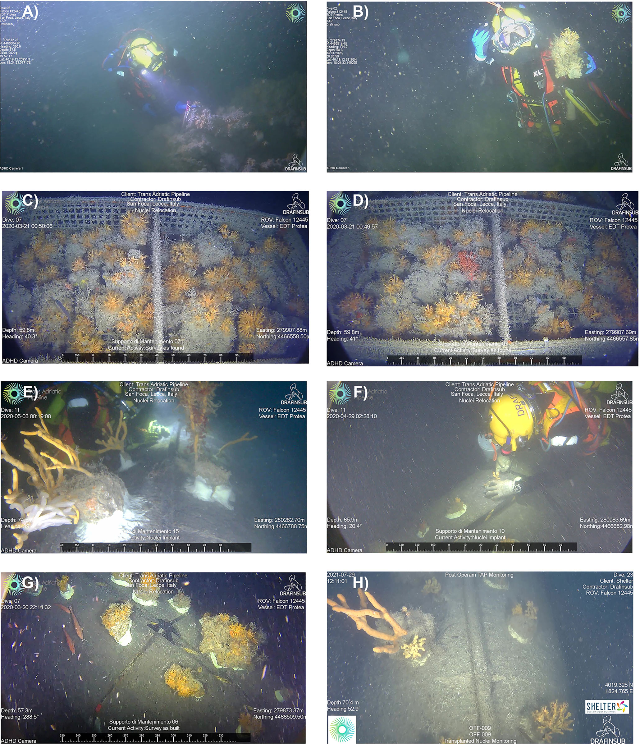 Frontiers  When Scientists and Industry Technologies Mitigate Habitat  Loss: The First Bioconstruction Relocation in the Mediterranean Sea