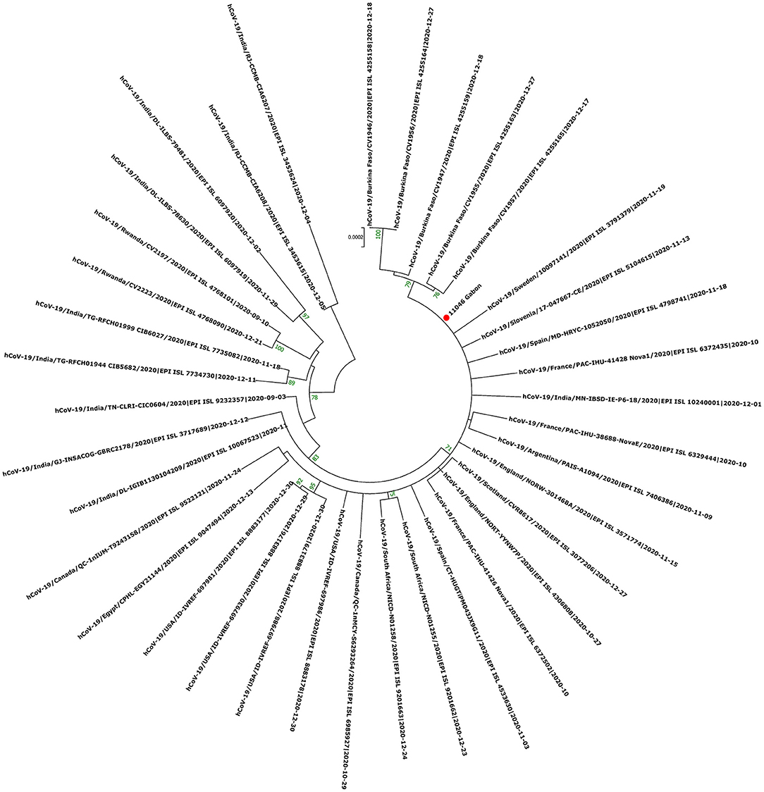 www.frontiersin.org