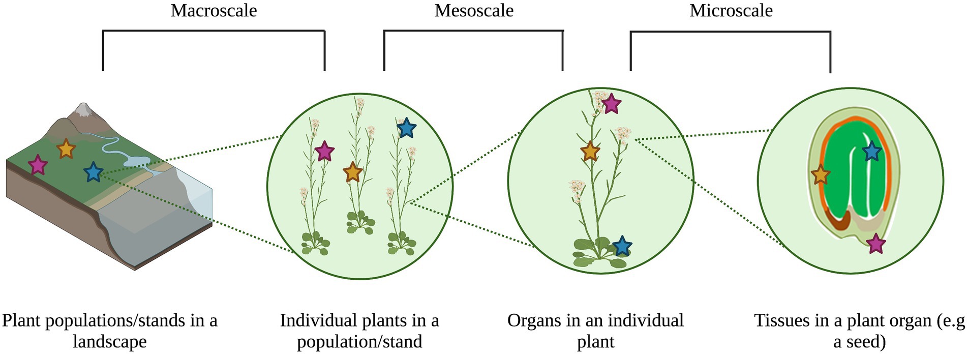 Frontiers  A metacommunity ecology approach to understanding