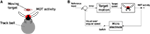www.frontiersin.org