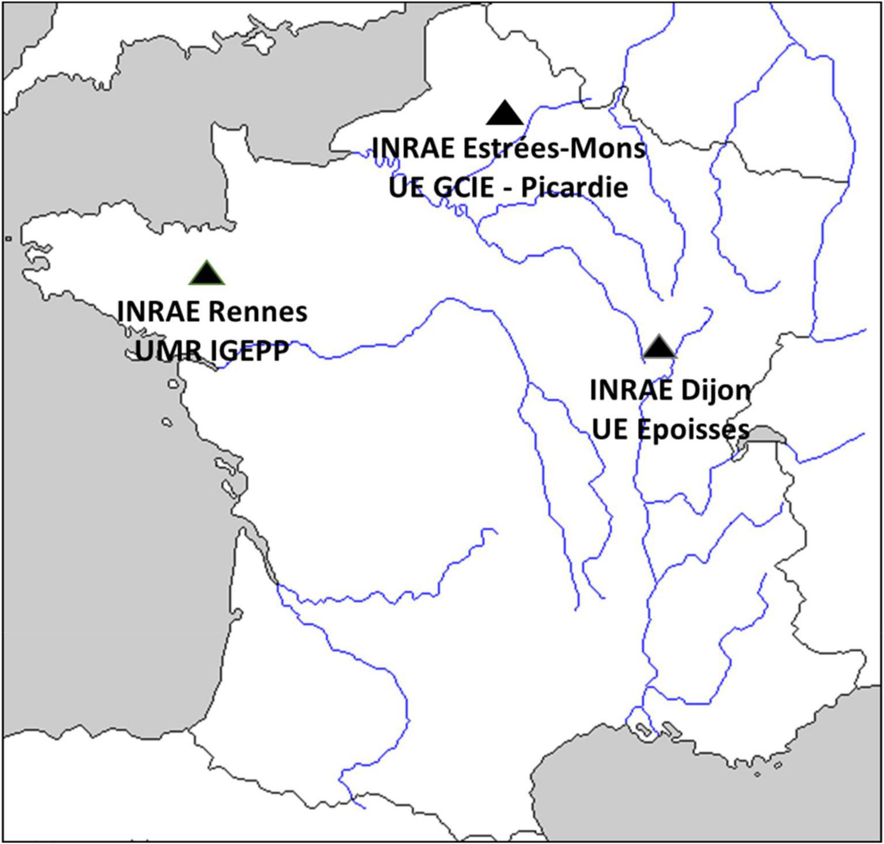 www.frontiersin.org