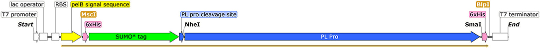 www.frontiersin.org