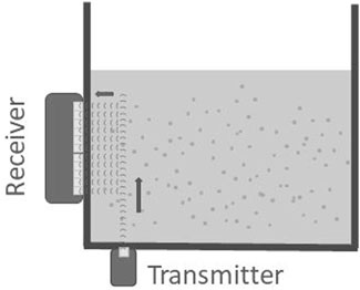 www.frontiersin.org