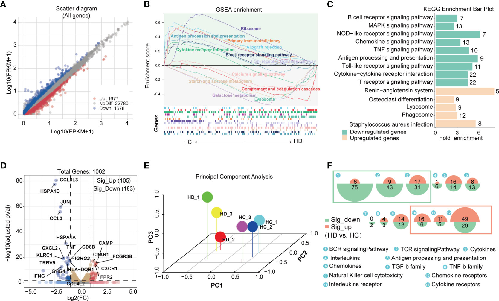 Single-nucleus RNA and ATAC sequencing reveals the impact of