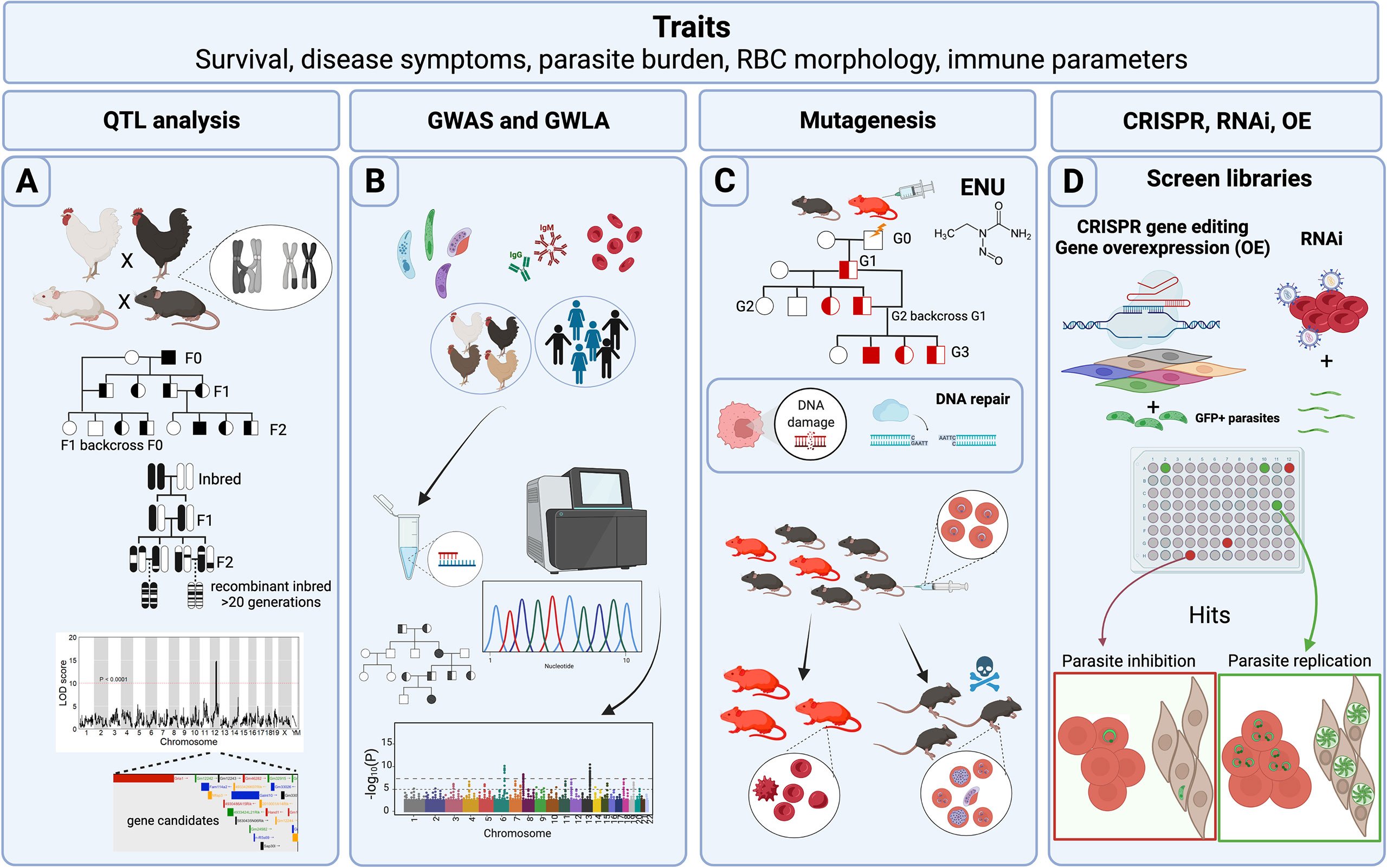 Frontiers  Splenic protection network revealed by transcriptome