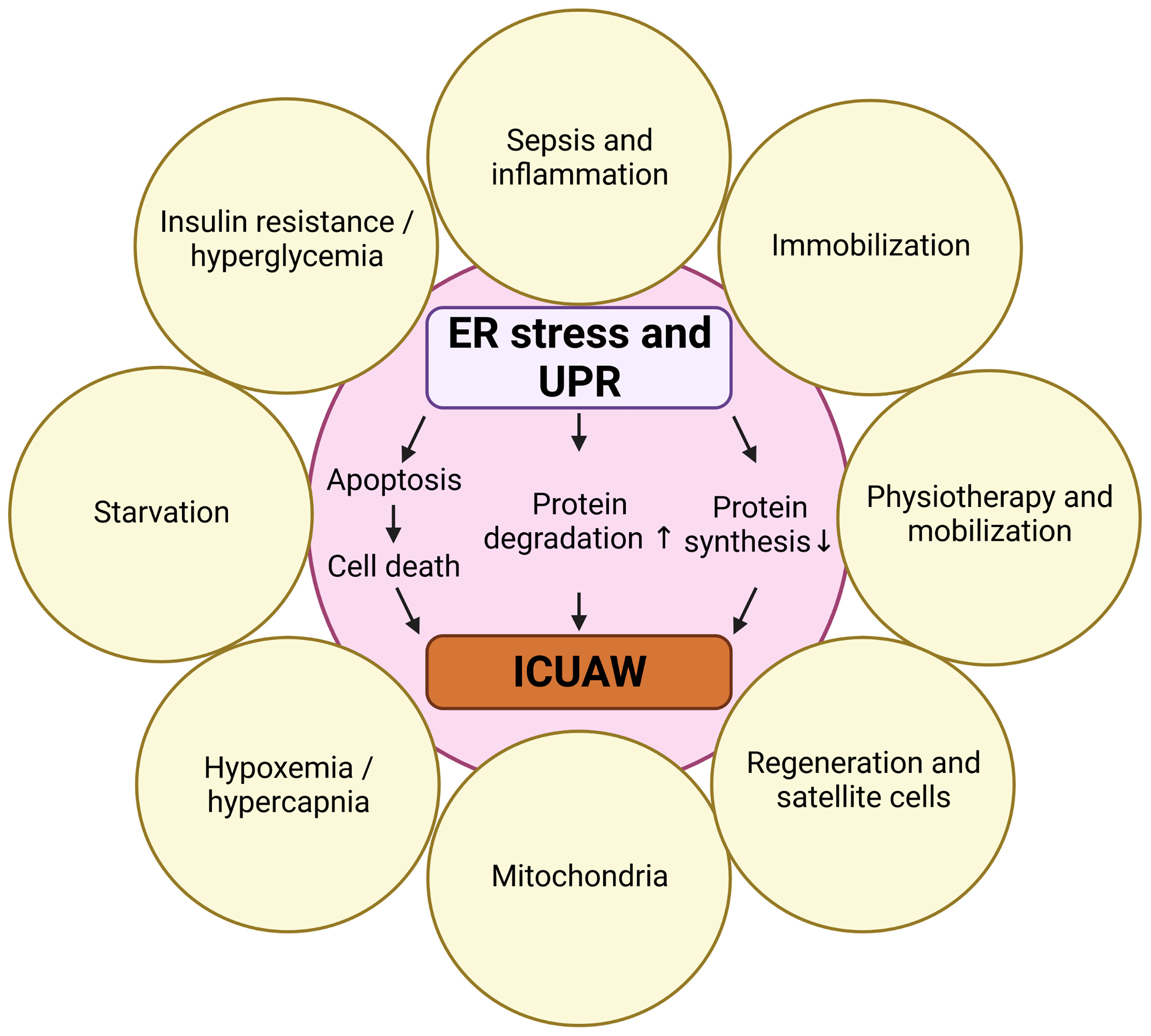 Characterization and immune regulation role of an immobilization