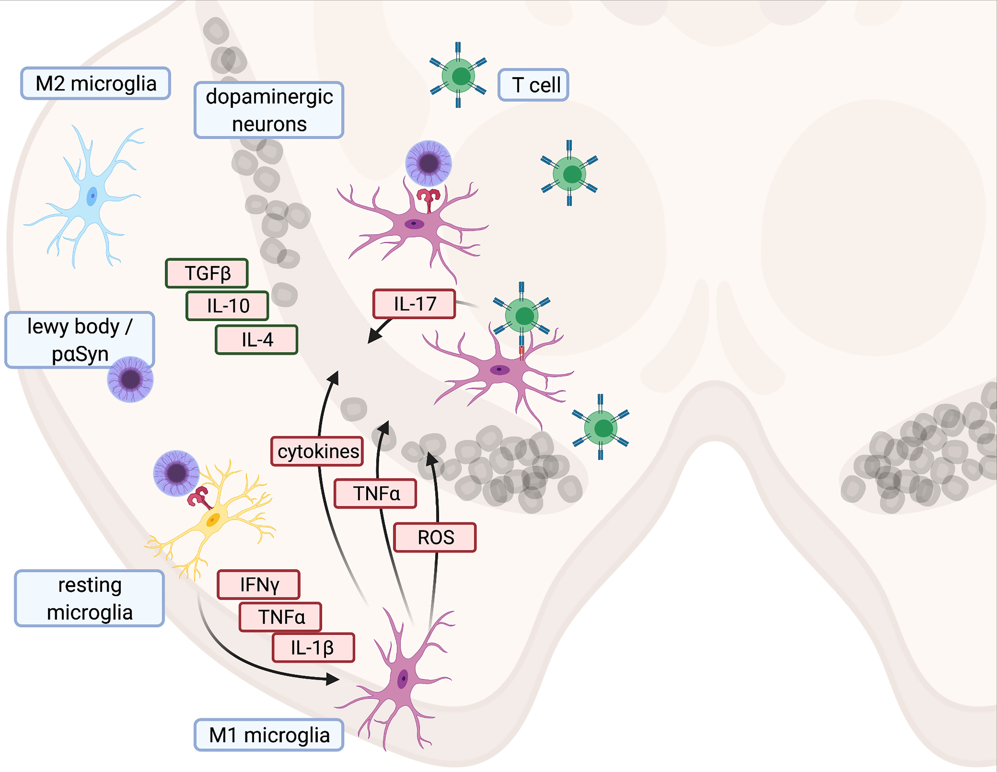 Survival in patients with Parkinson's disease: a ten-year follow