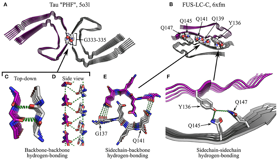 Frontiers  General Principles Underpinning Amyloid Structure