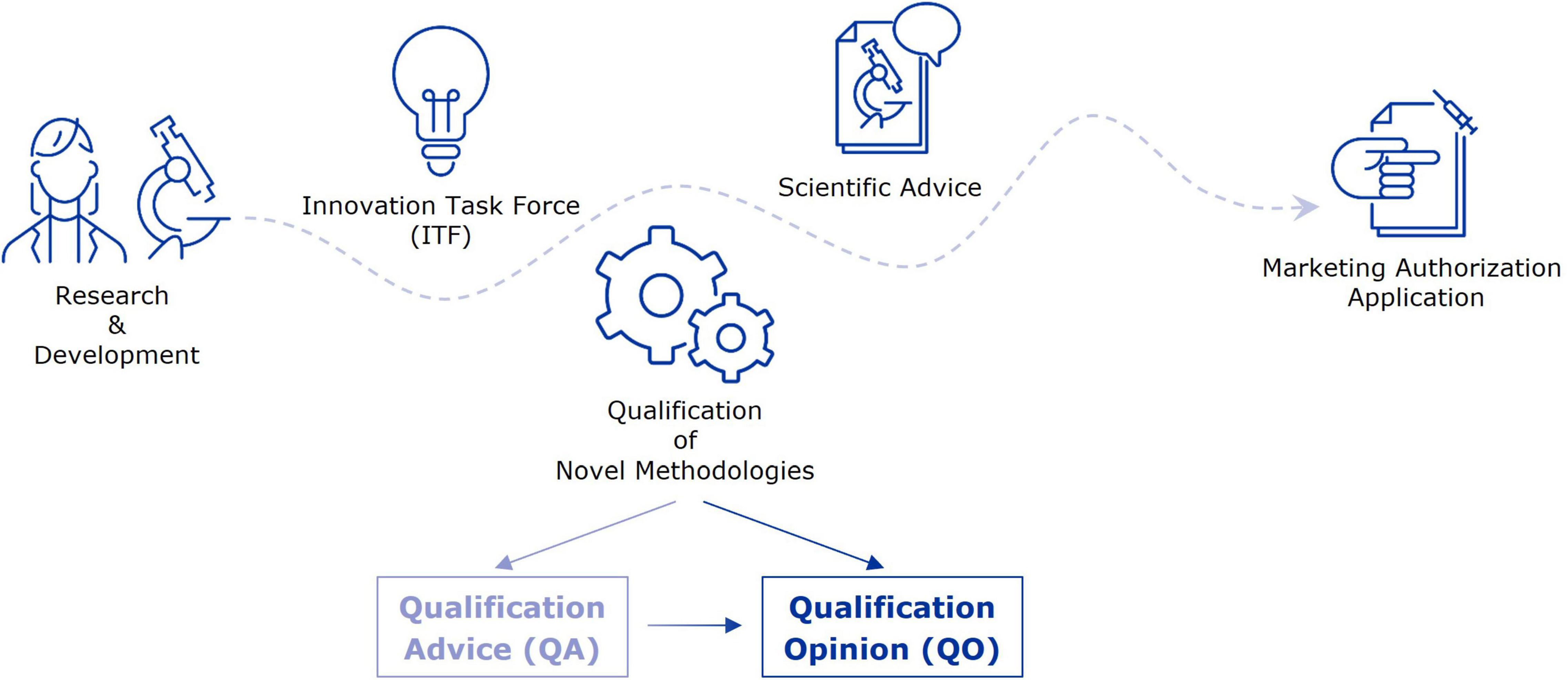 Frontiers | Biomarkers in Medicines Development—From Discovery to