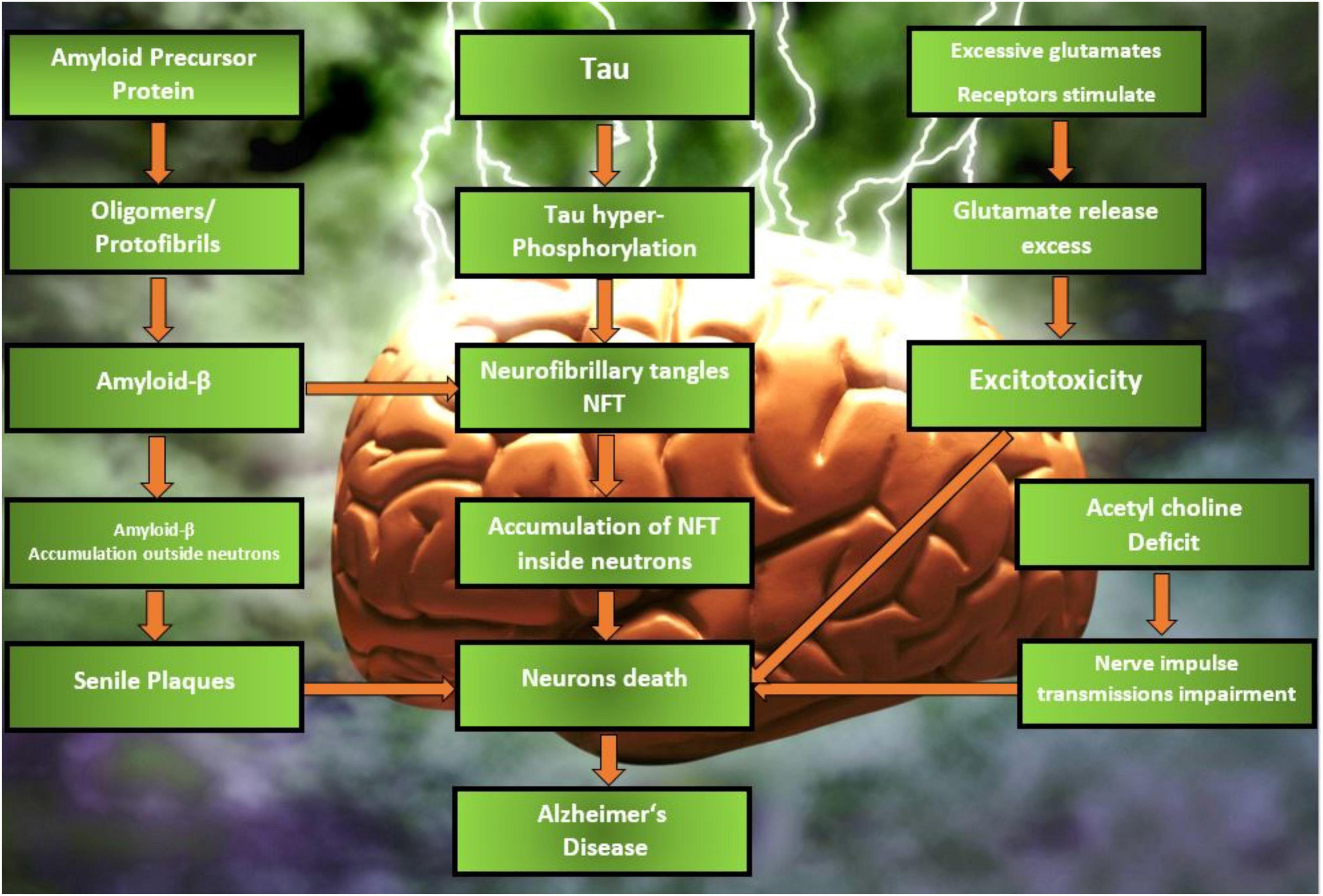 frontiers-nanomedicines-in-the-management-of-alzheimer-s-disease