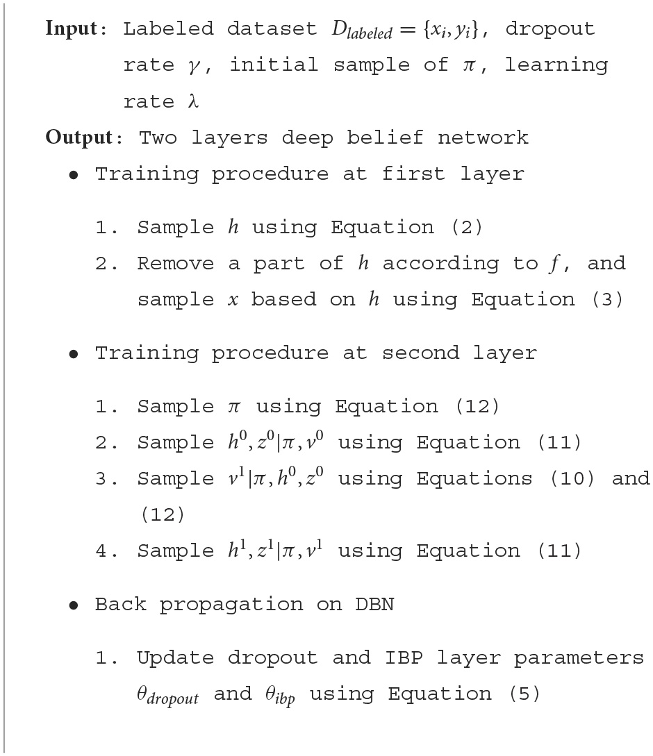 Heterogeneous sparse DBN (HSparseDBN) training procedure.