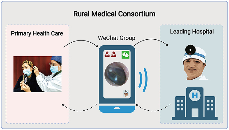 Turning a smartphone into an otoscope