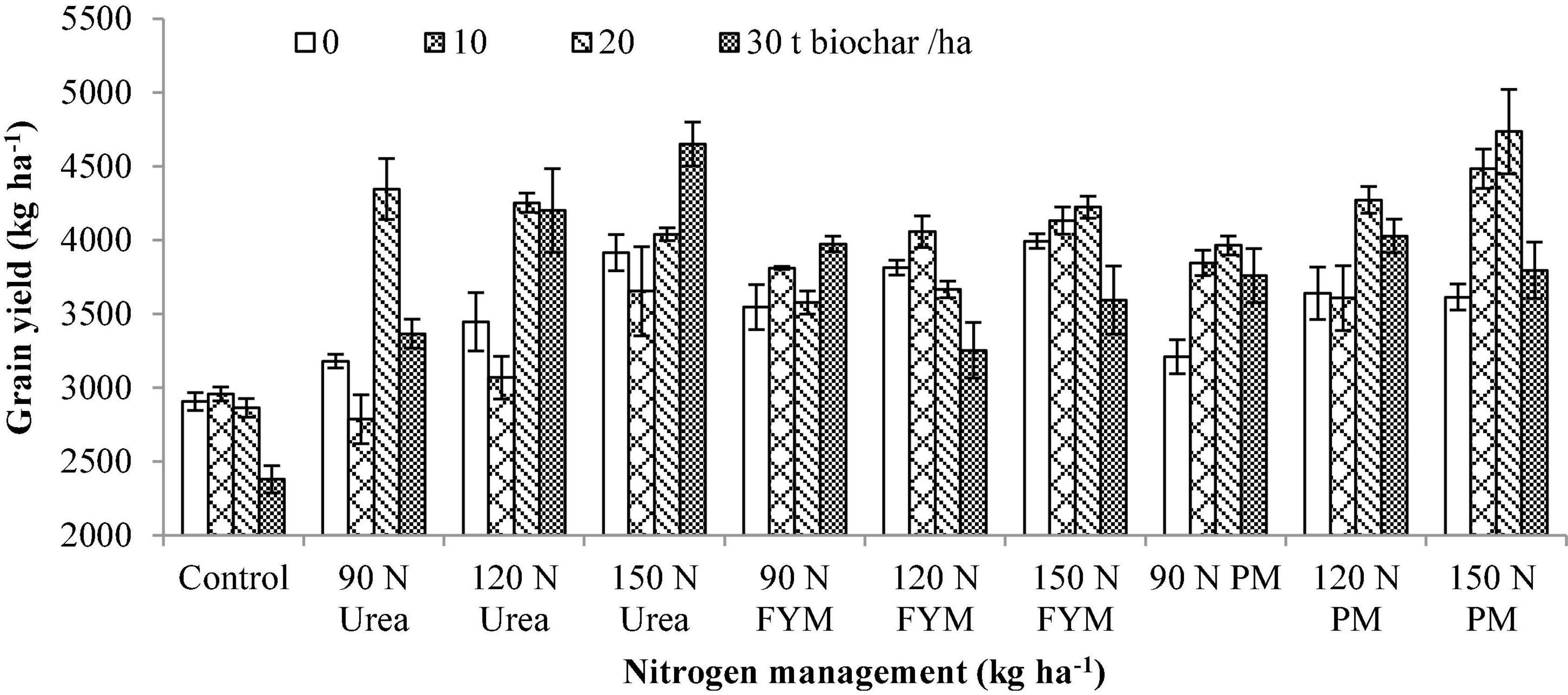 Biochar mitigates bioavailability and environmental risks of