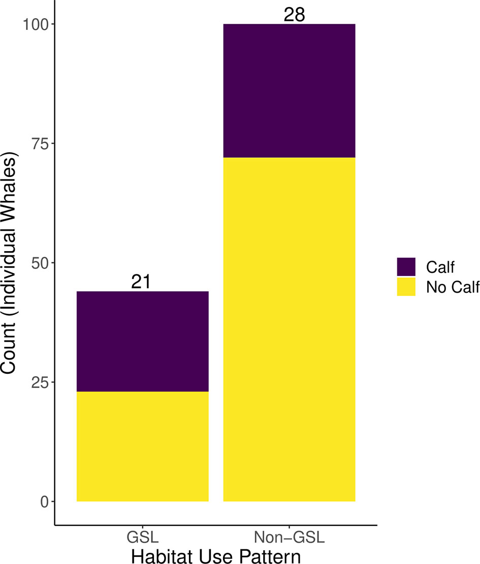 Frontiers  Characteristics of Whale Müller Glia in Primary and  Immortalized Cultures