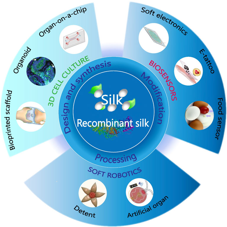 Multifunctional Biosensors Made with Self-Healable Silk Fibroin Imitating  Skin