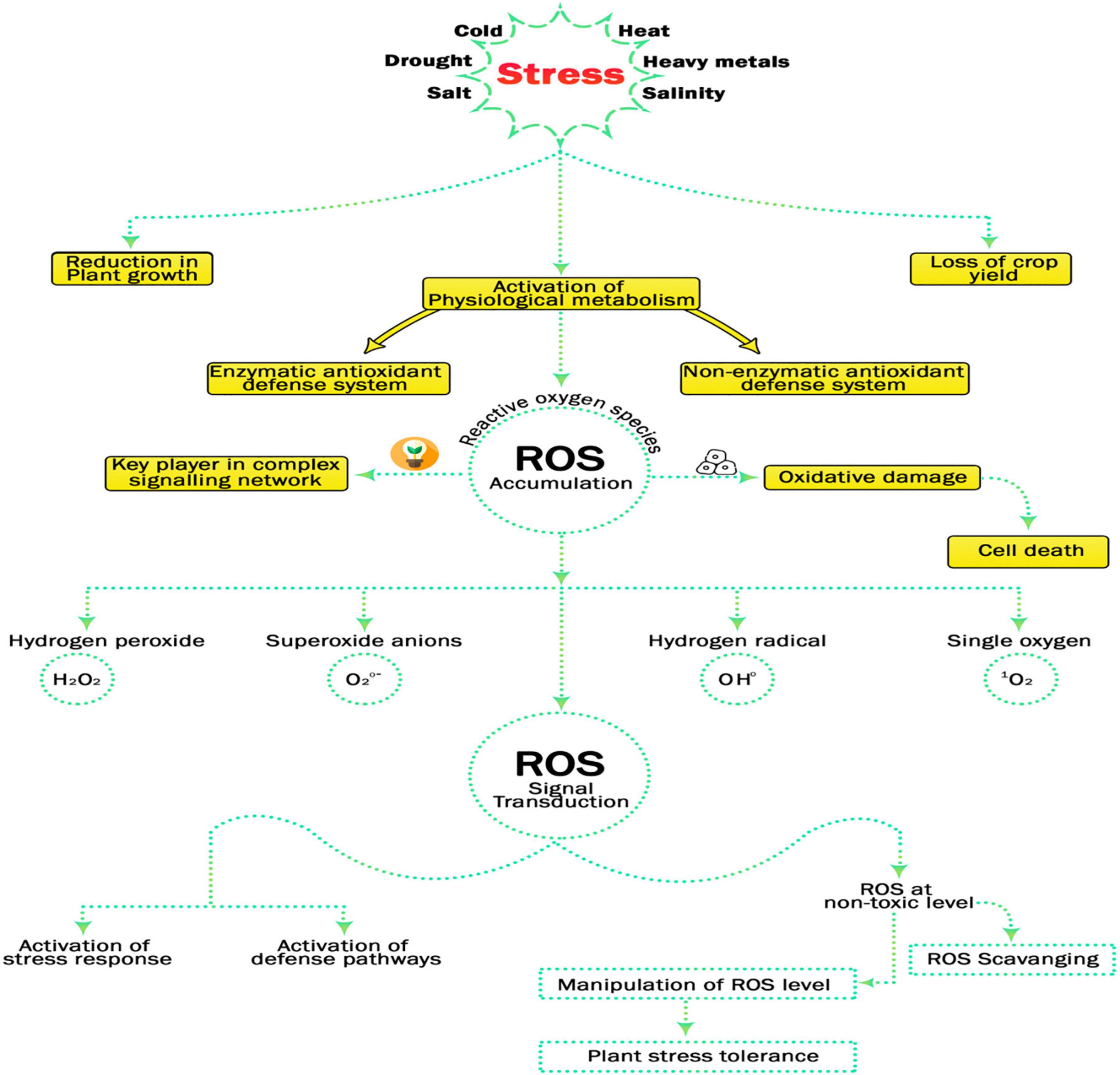 Full article: Plant Volatiles: Recent Advances and Future Perspectives