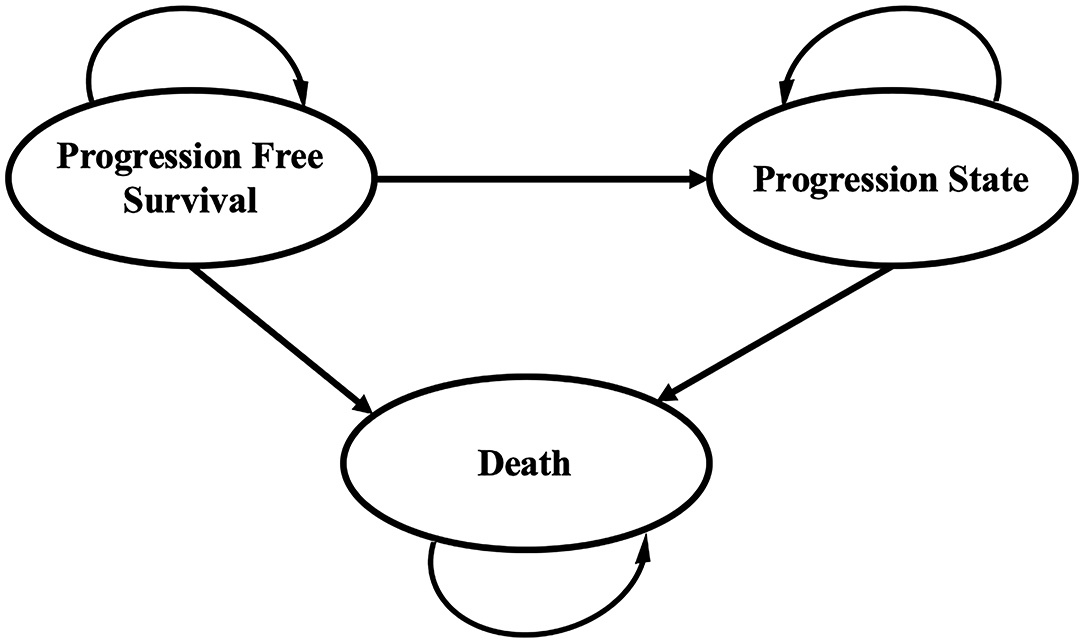 www.frontiersin.org