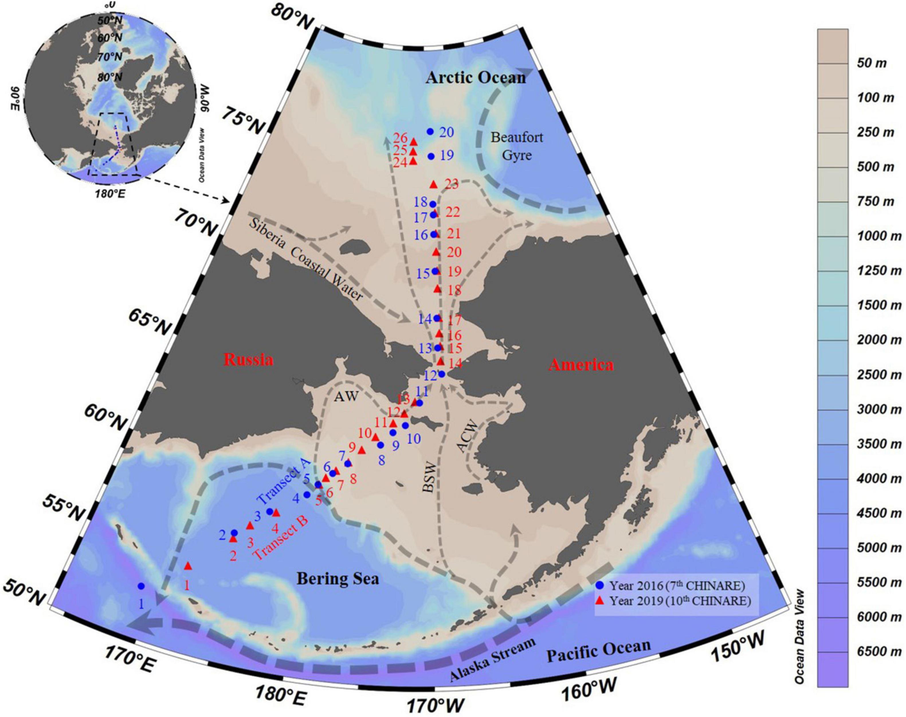 Frontiers | Hydrographic Feature Variation Caused Pronounced 