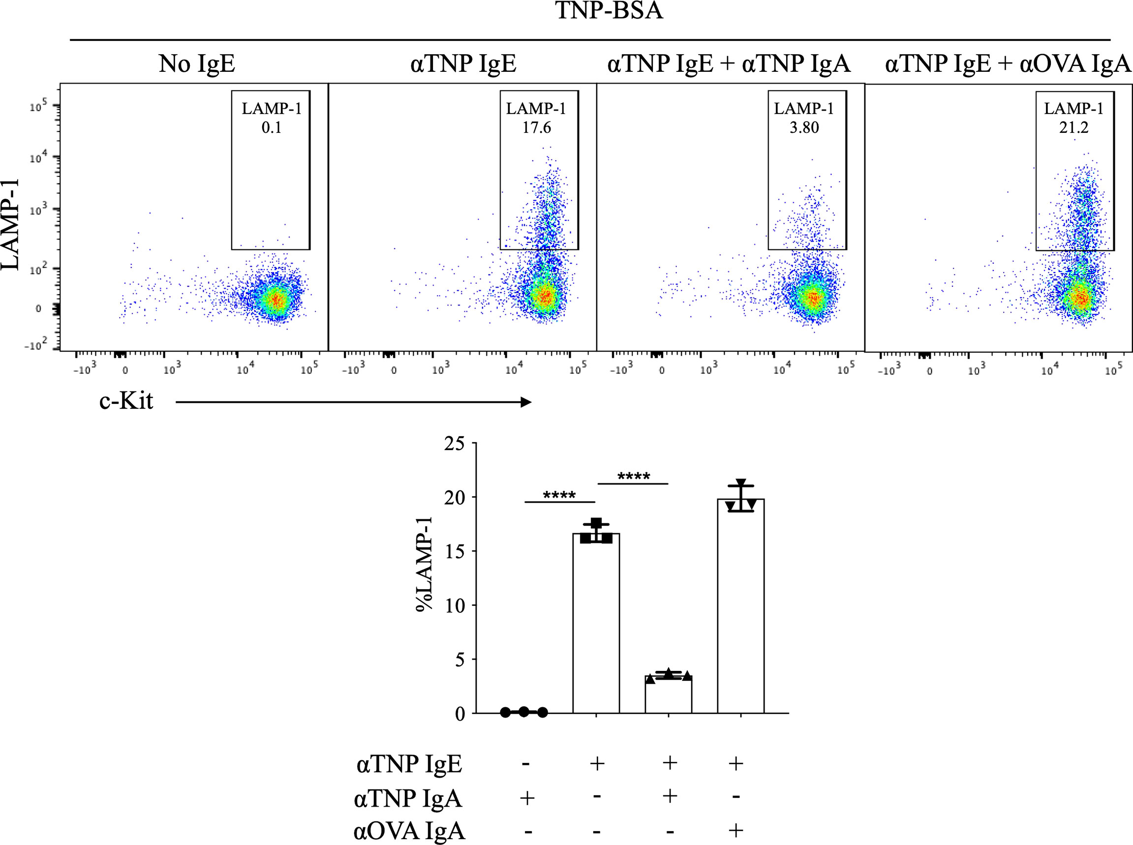 Microarray assessment of N-glycan-specific IgE and IgG profiles