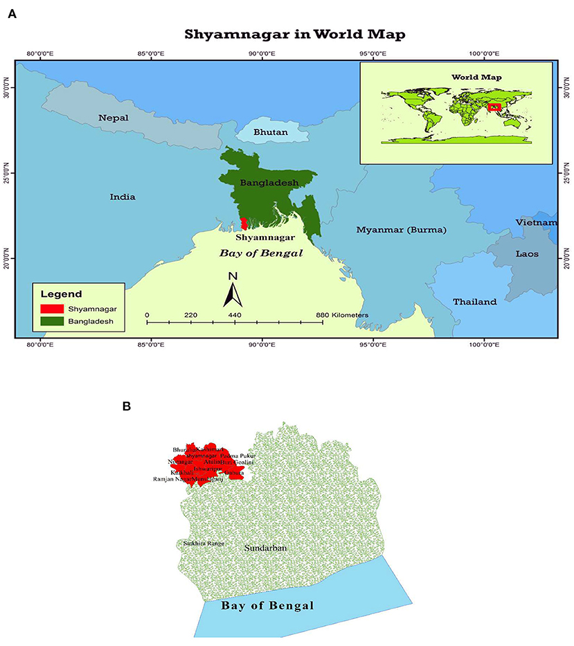 Full article: Building, Losing, and Reconstructing Social Identities: An  Investigation Into the Symbolic Use of Credit by Poor Consumers in Brazil