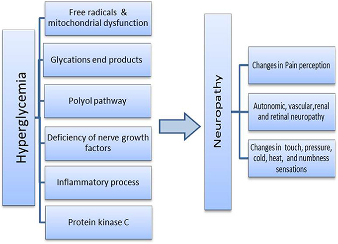 classification of diabetic neuropathy)