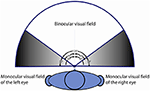 www.frontiersin.org