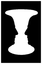 www.frontiersin.org