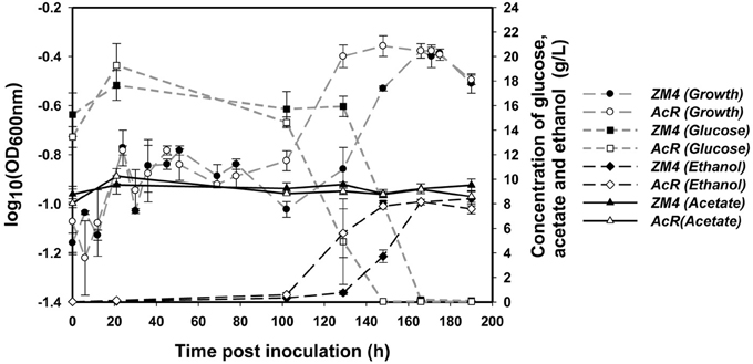 Frontiers | Elucidation of Zymomonas mobilis physiology and