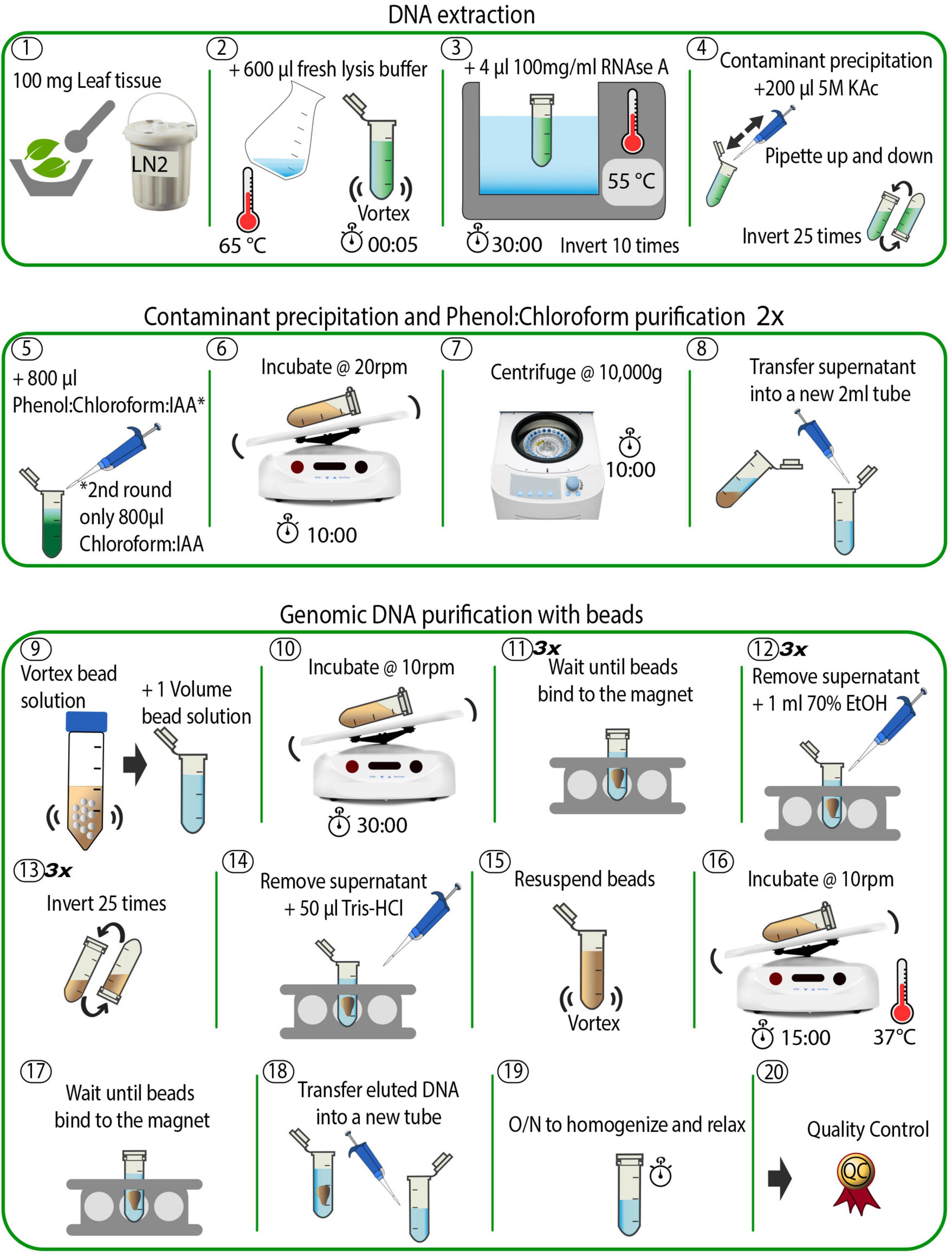 Dna Extraction For Long Read Sequencing