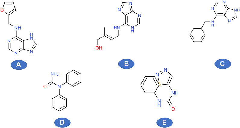 Frontiers  Cytokinins: A Genetic Target for Increasing Yield