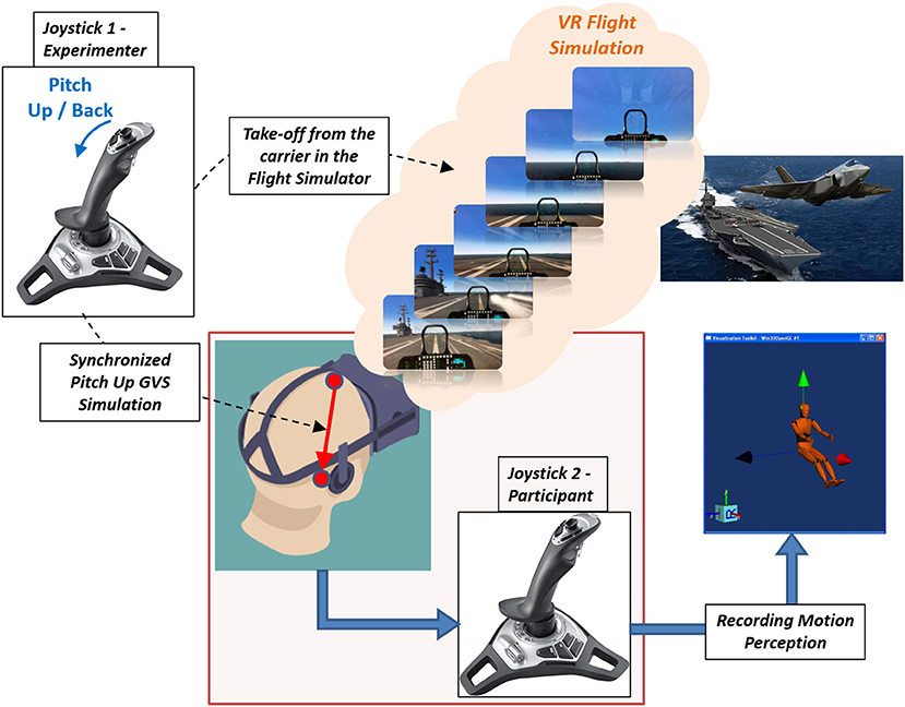 Virtual Reality Tools Applied to the Male Urinary System