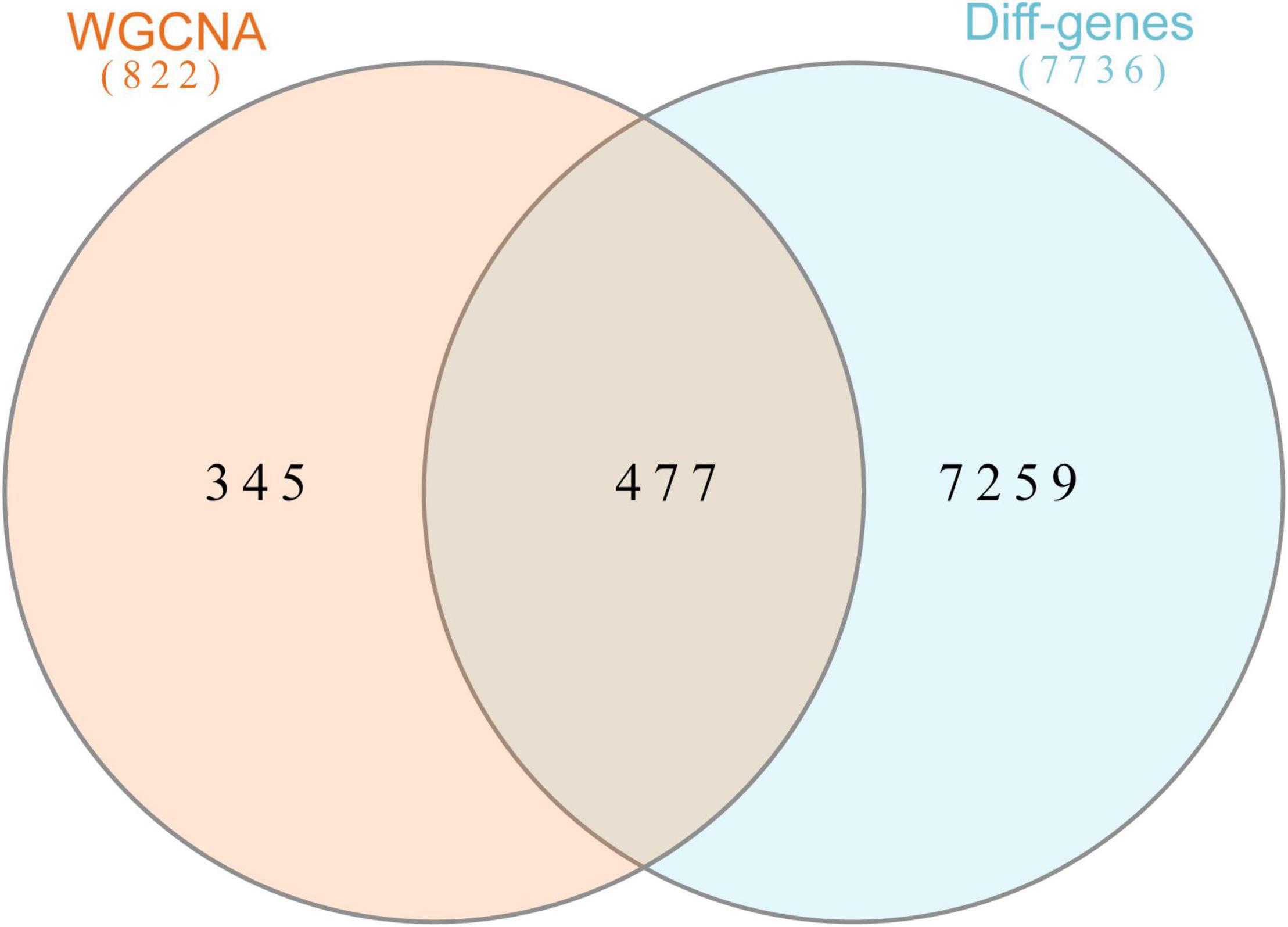 Frontiers | Identification of Differential Genes of DNA Methylation ...