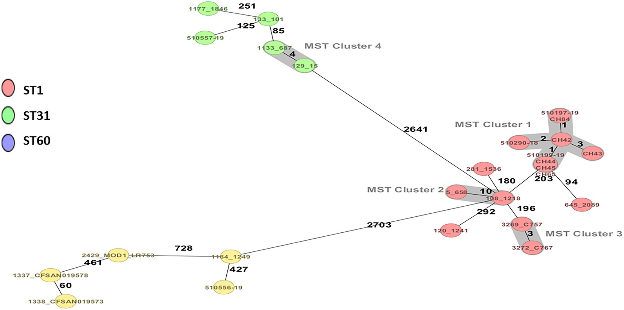 Frontiers  Genomic Characterization of Cronobacter spp. and Salmonella  spp. Strains Isolated From Powdered Infant Formula in Chile