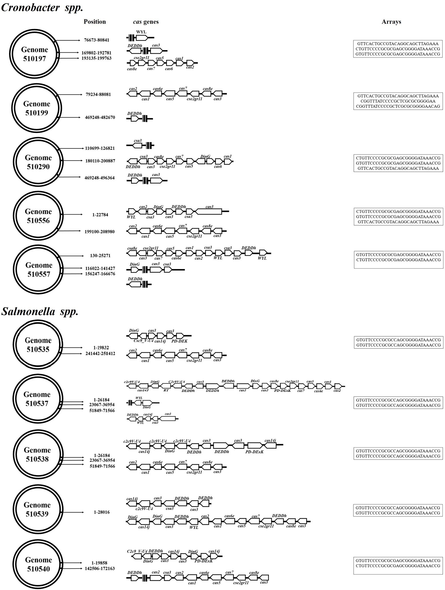 PDF) Neonate Brain Abscess by Cronobacter spp : A Powdered Infant Formula's  Opportunistic Pathogen