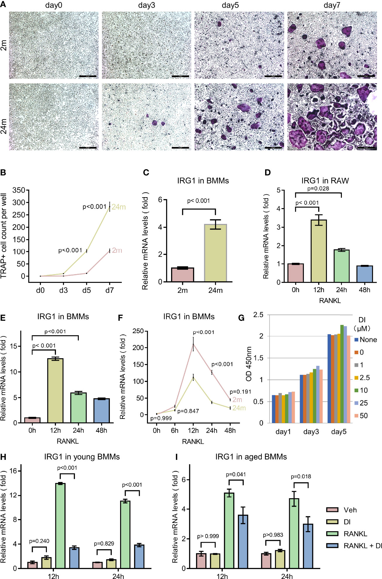 Frontiers  Aging Relevant Metabolite Itaconate Inhibits