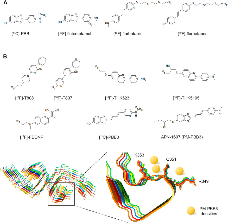 Frontiers  General Principles Underpinning Amyloid Structure