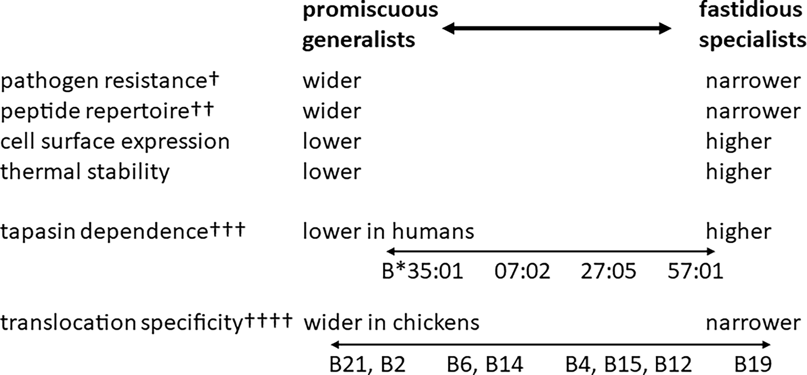 www.frontiersin.org