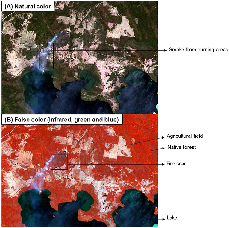 Figure 1 - A satellite image taken during the Australian bushfires of December 2019.
