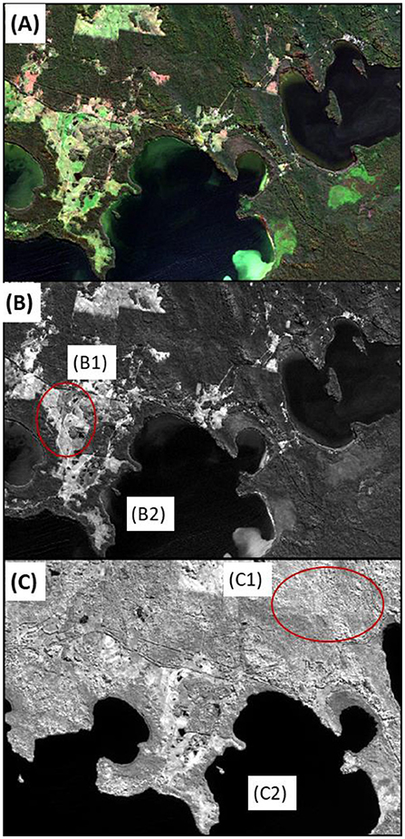 Figure 2 - (A) A satellite multi-spectral image that combines blue, green, and red light.