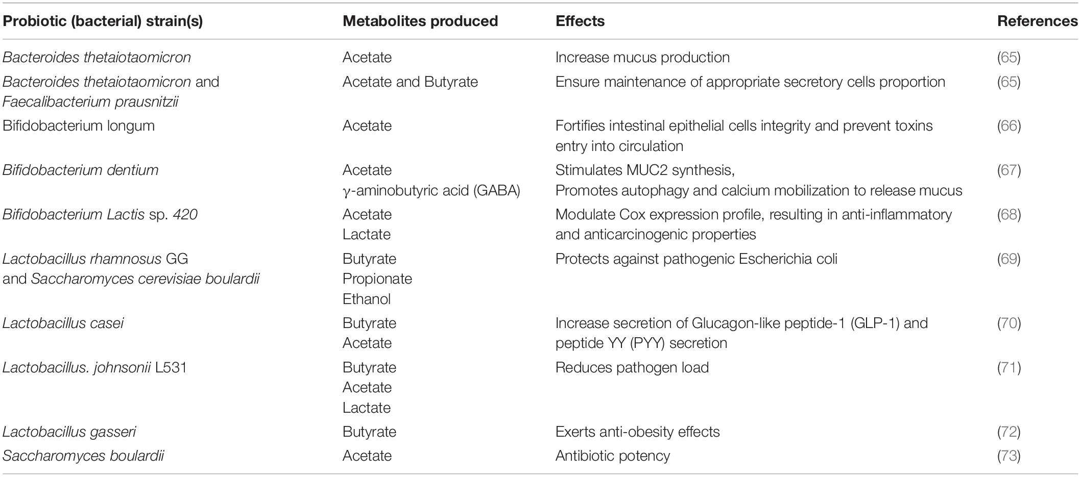 Lactobacillus rhamnosus: A Healthy Probiotic Strain