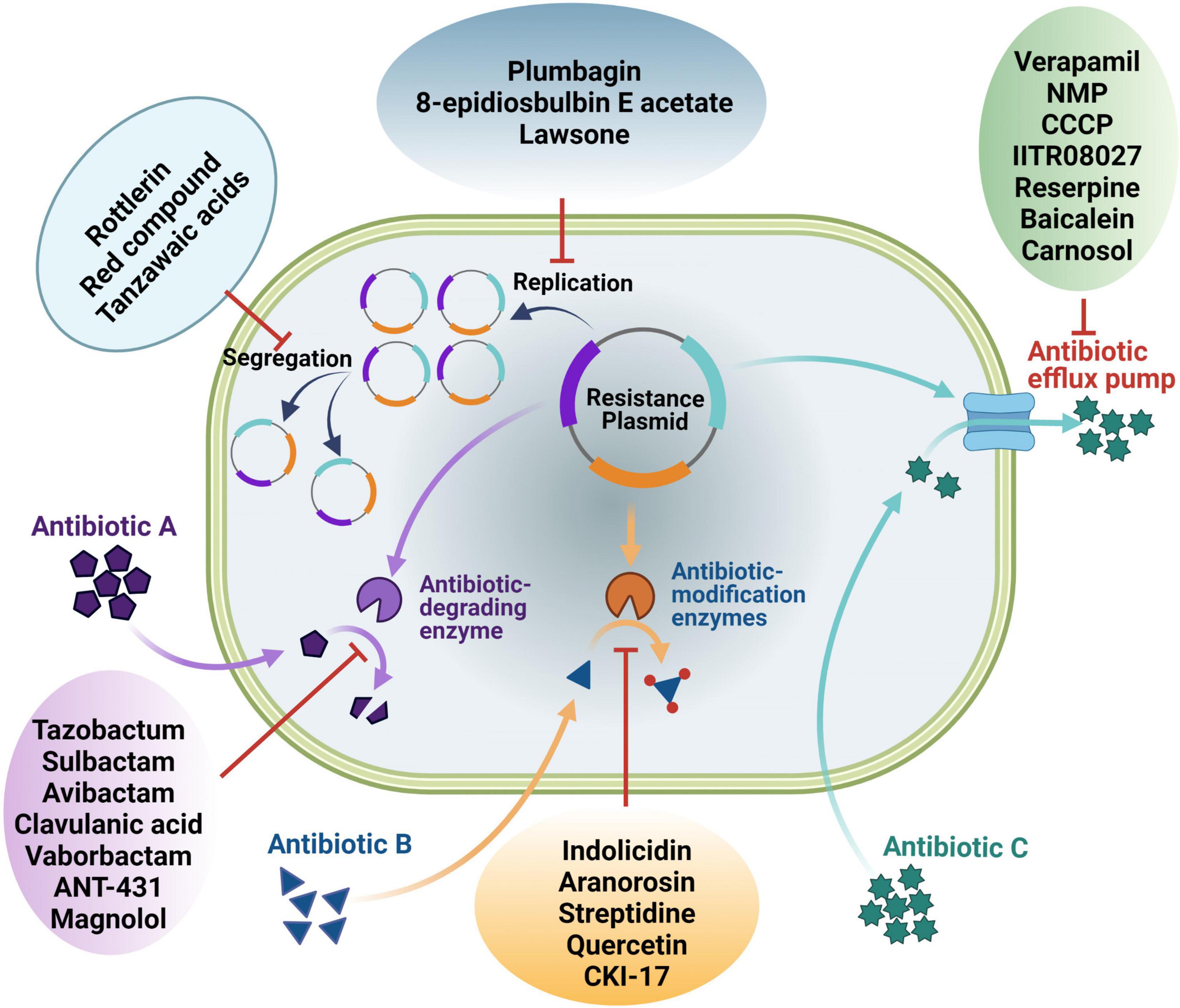 Antibacterial activity and antibiotic-modifying action of