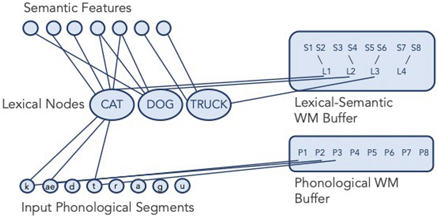 semantic memory model