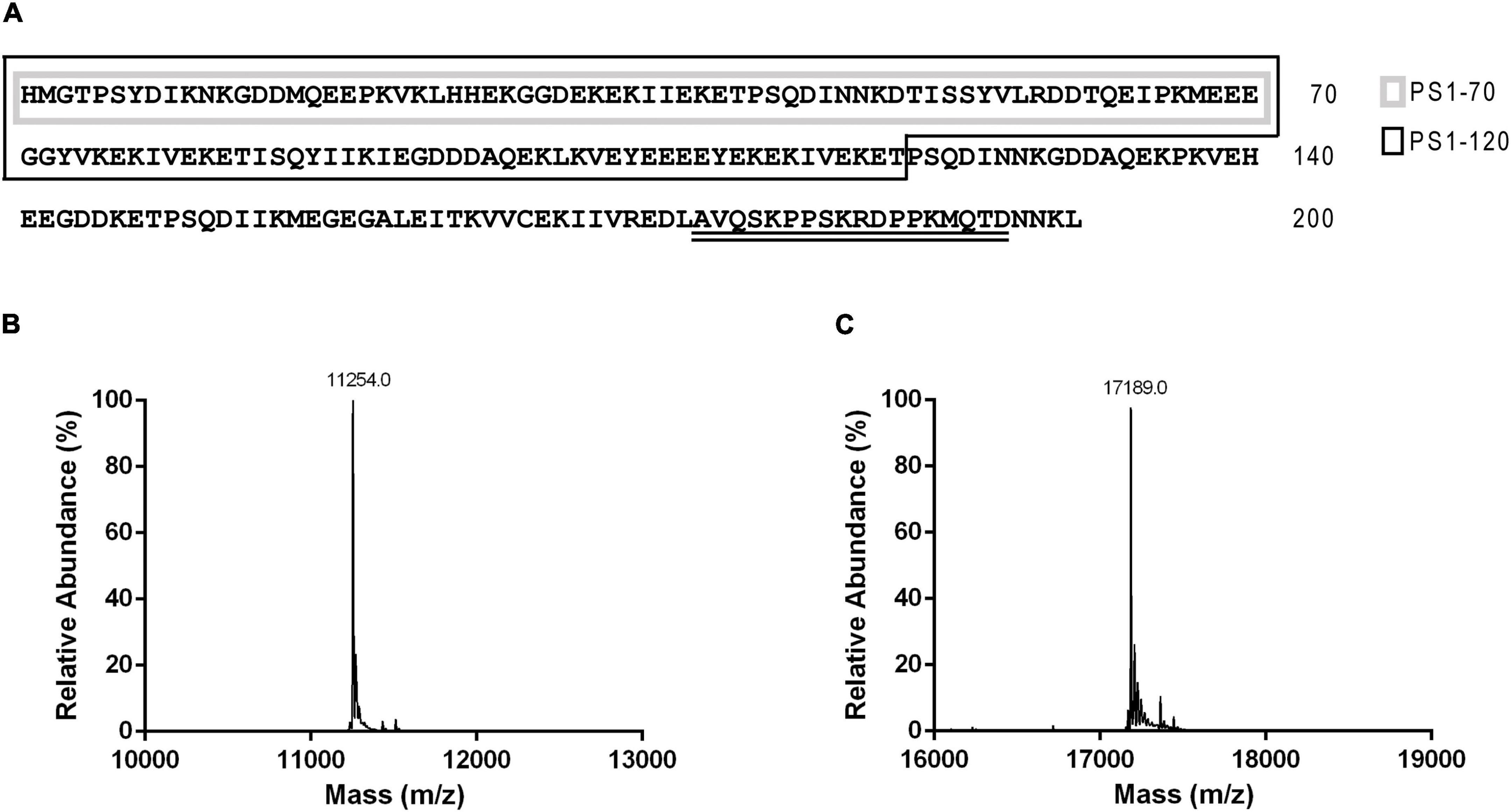 Frontiers  Belowground Chemical Interactions: An Insight Into  Host-Specific Behavior of Globodera spp. Hatched in Root Exudates From  Potato and Its Wild Relative, Solanum sisymbriifolium