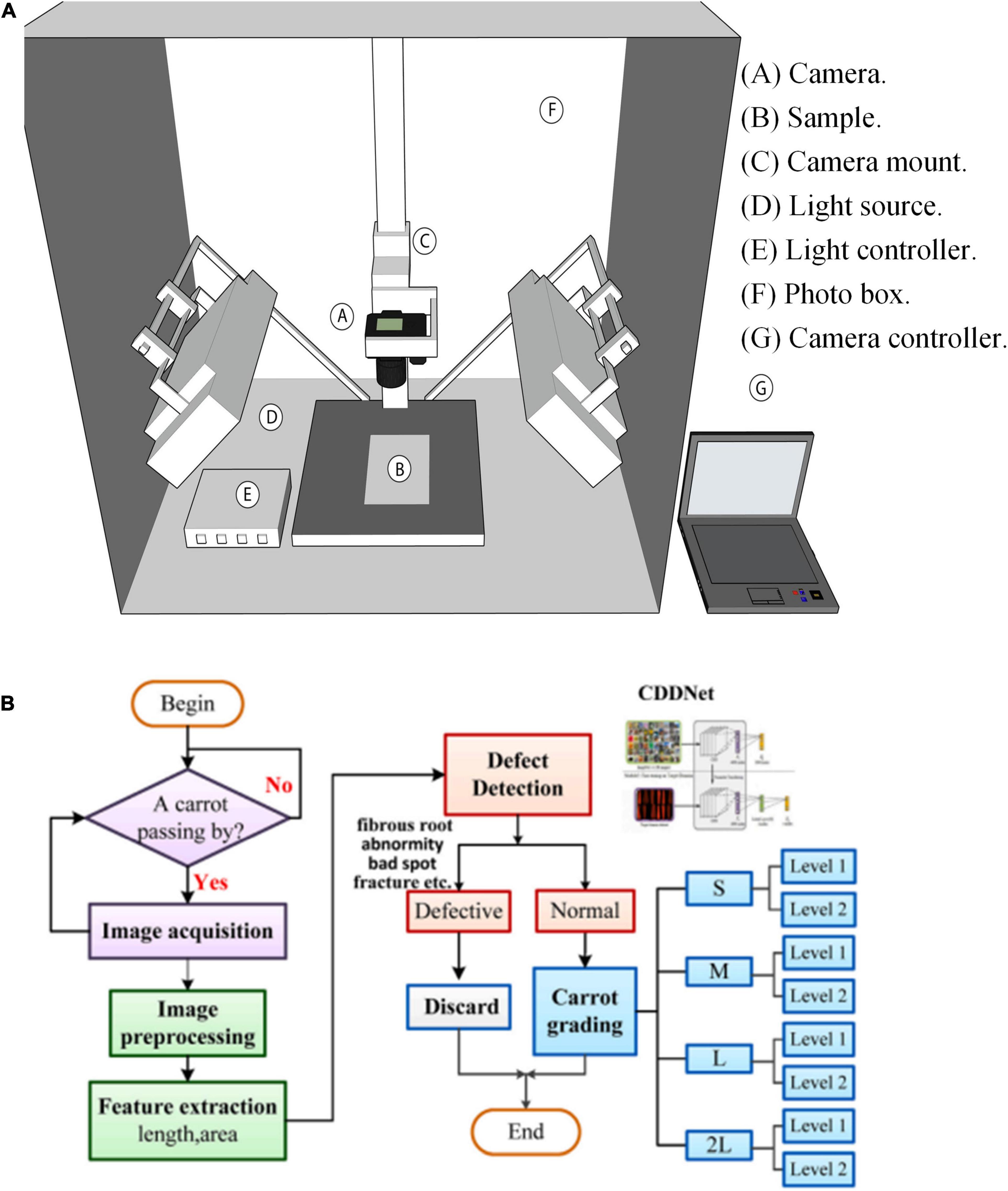 Fruit and Vegetable Fresh Produce Quality Control Software