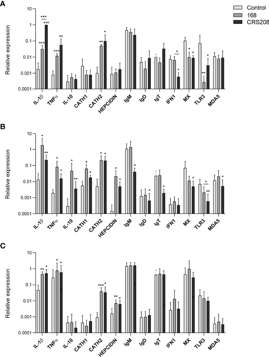 Sporobeads: The Utilization of the Bacillus subtilis Endospore