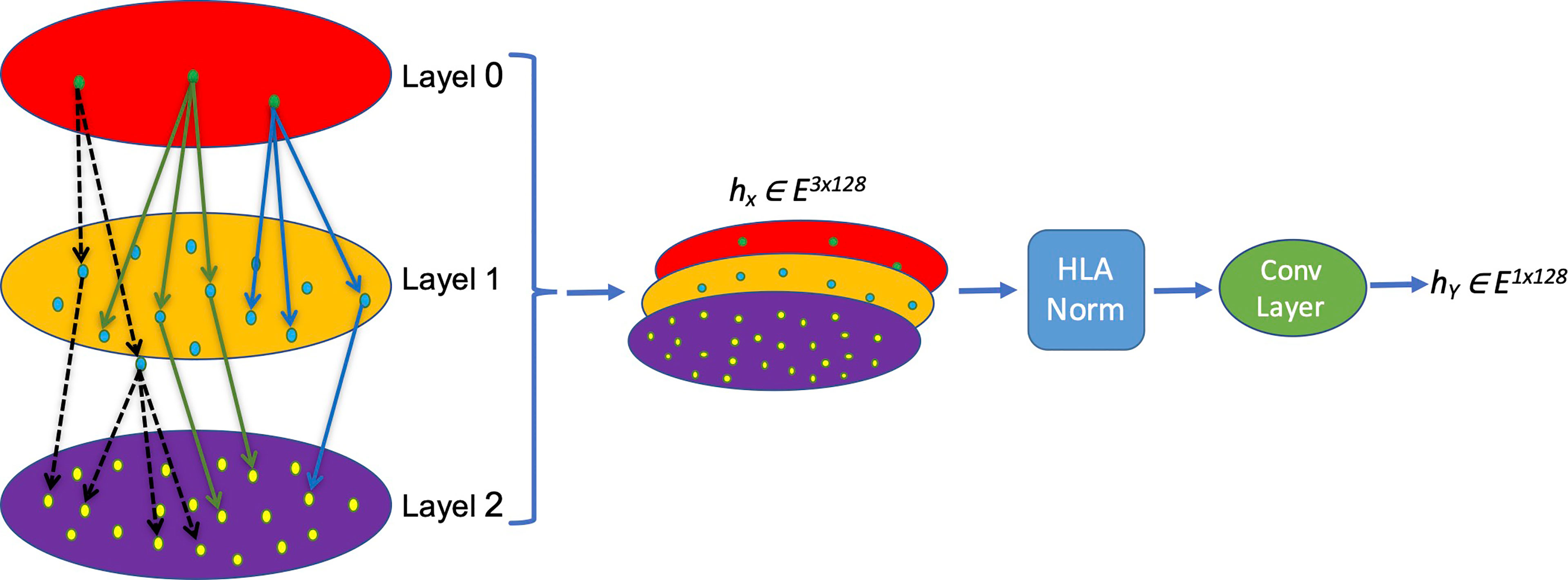 Frontiers Multiple-Allele MHC Class II Epitope Engineering by a Molecular Dynamics-Based Evolution Protocol