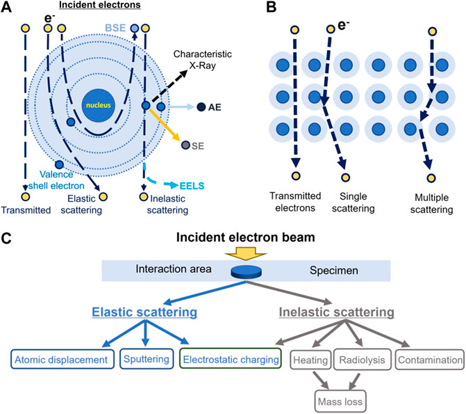 Reducing Radiation Damage in Soft Matter with Femtosecond-Timed  Single-Electron Packets