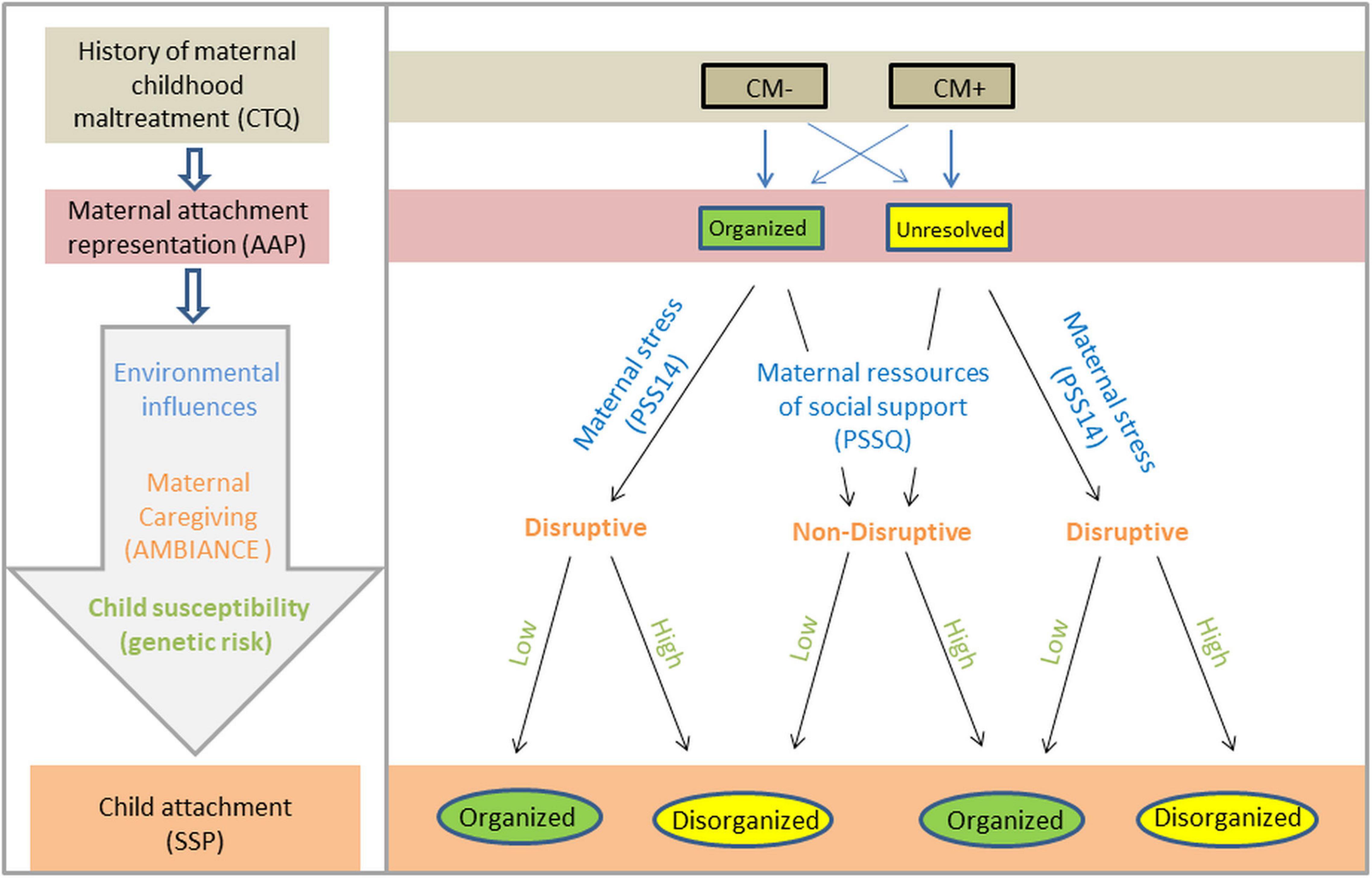 Overloaded: Understanding Neglect - Institute for Child and Family  Well-Being