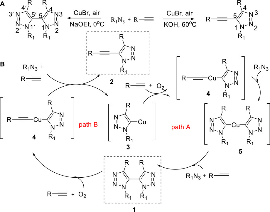 Synthesis of 3,4,5-Trisubstituted-1,2,4-triazoles